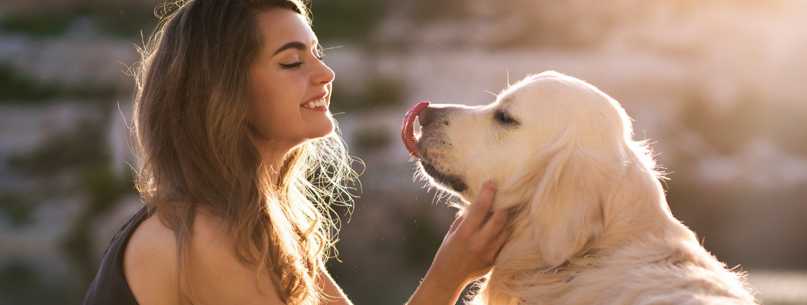 Assicurazione RC per il cane